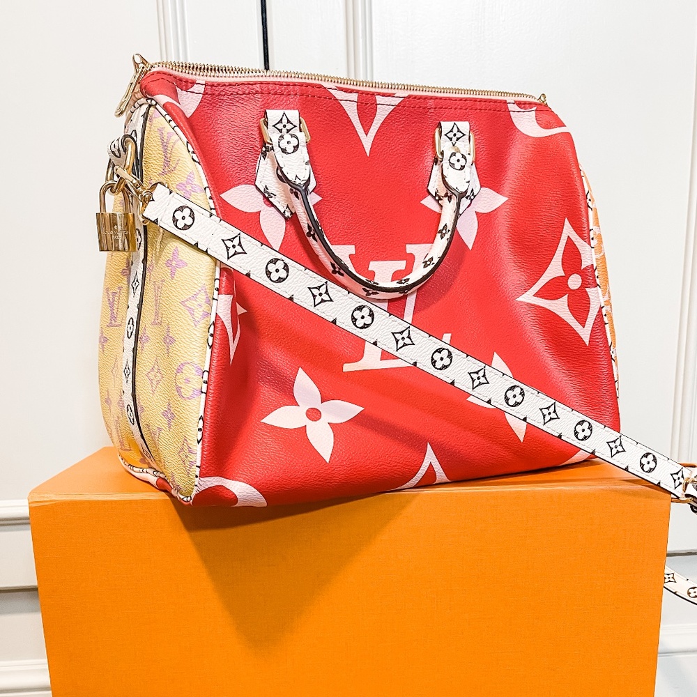 Speedy Limited Edition, Giant Bandouliere 1570 Multicolor Monogram Canvas